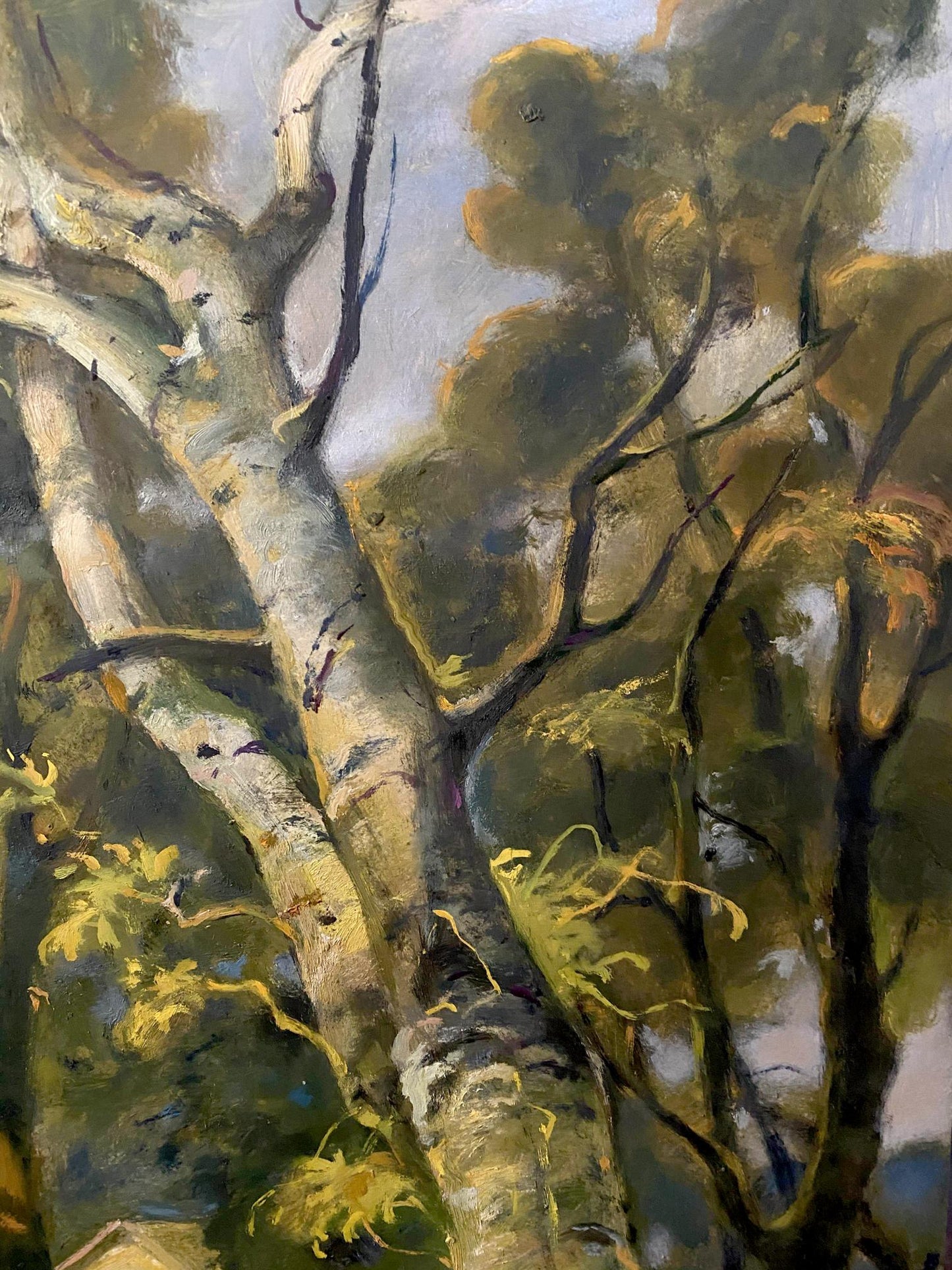 forest summer art