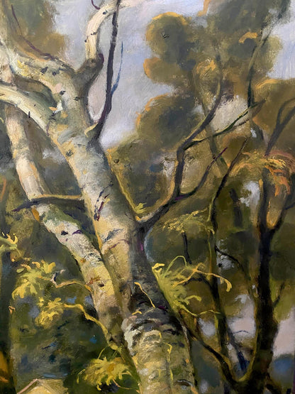 forest summer art