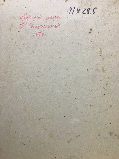 Back of oil painting Portrait of a milkmaid N. Semenchenko with red cursive text