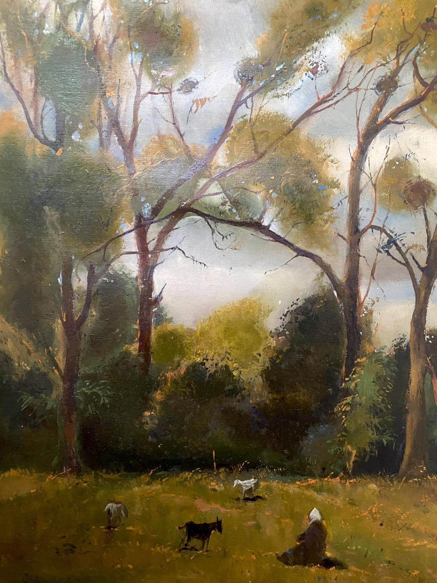 oil forest landscape
