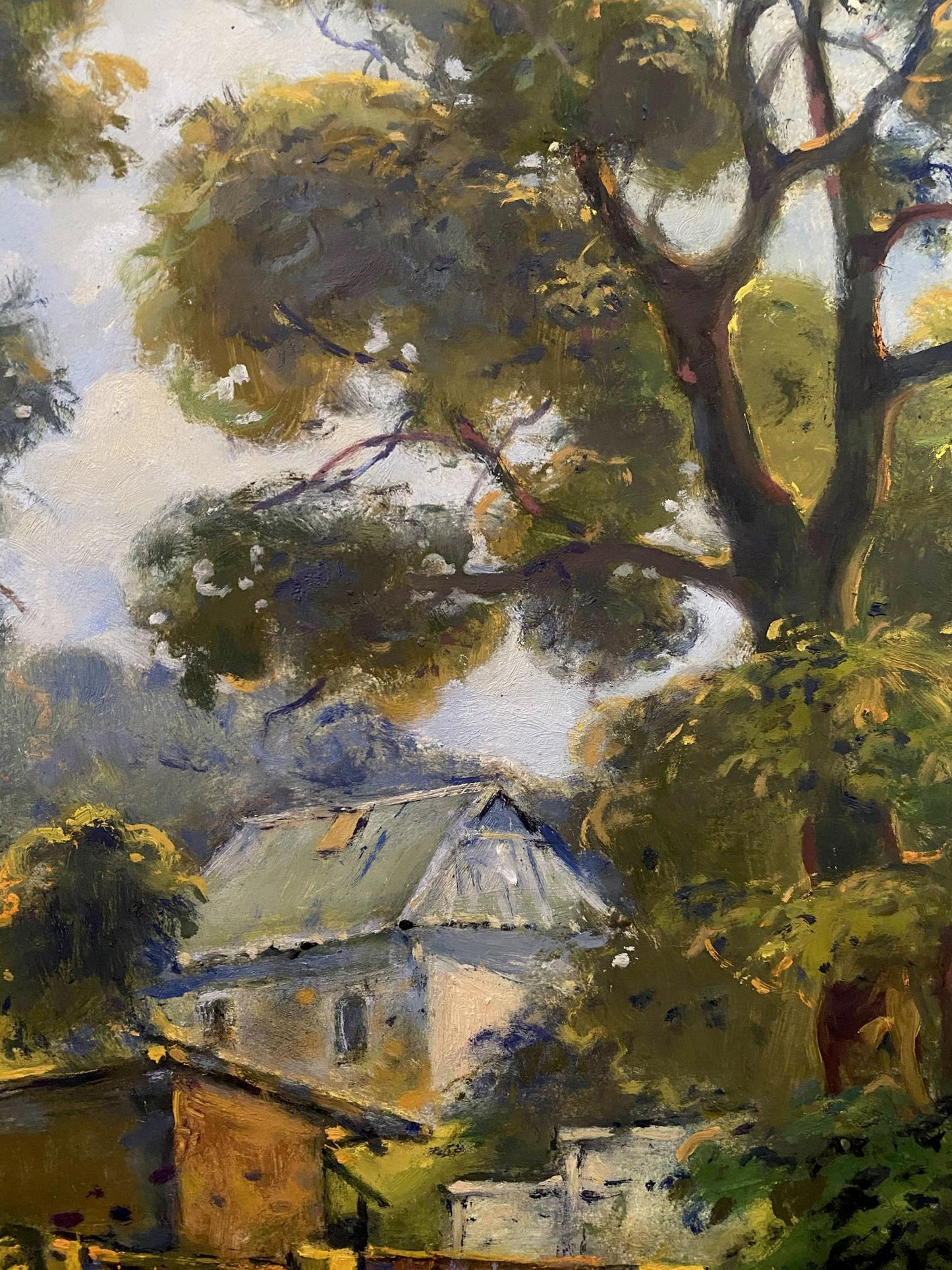 village landscape
