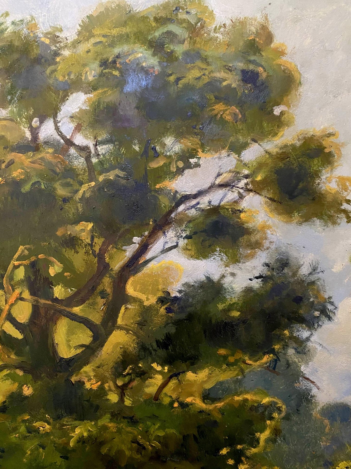 forest painting