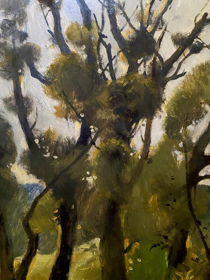 oil forest