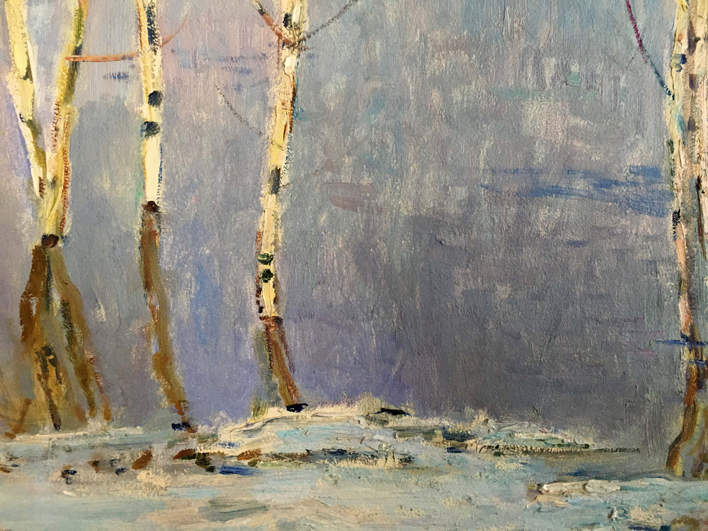 Oil painting of birch trees near shore by Glushchenko Nikolay Petrovich