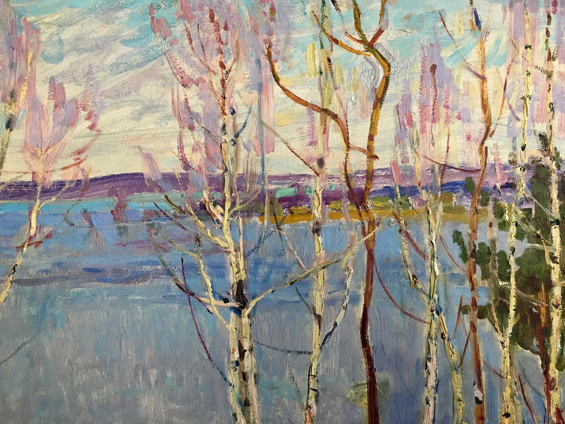 Oil painting of birch trees near shore by Glushchenko Nikolay Petrovich