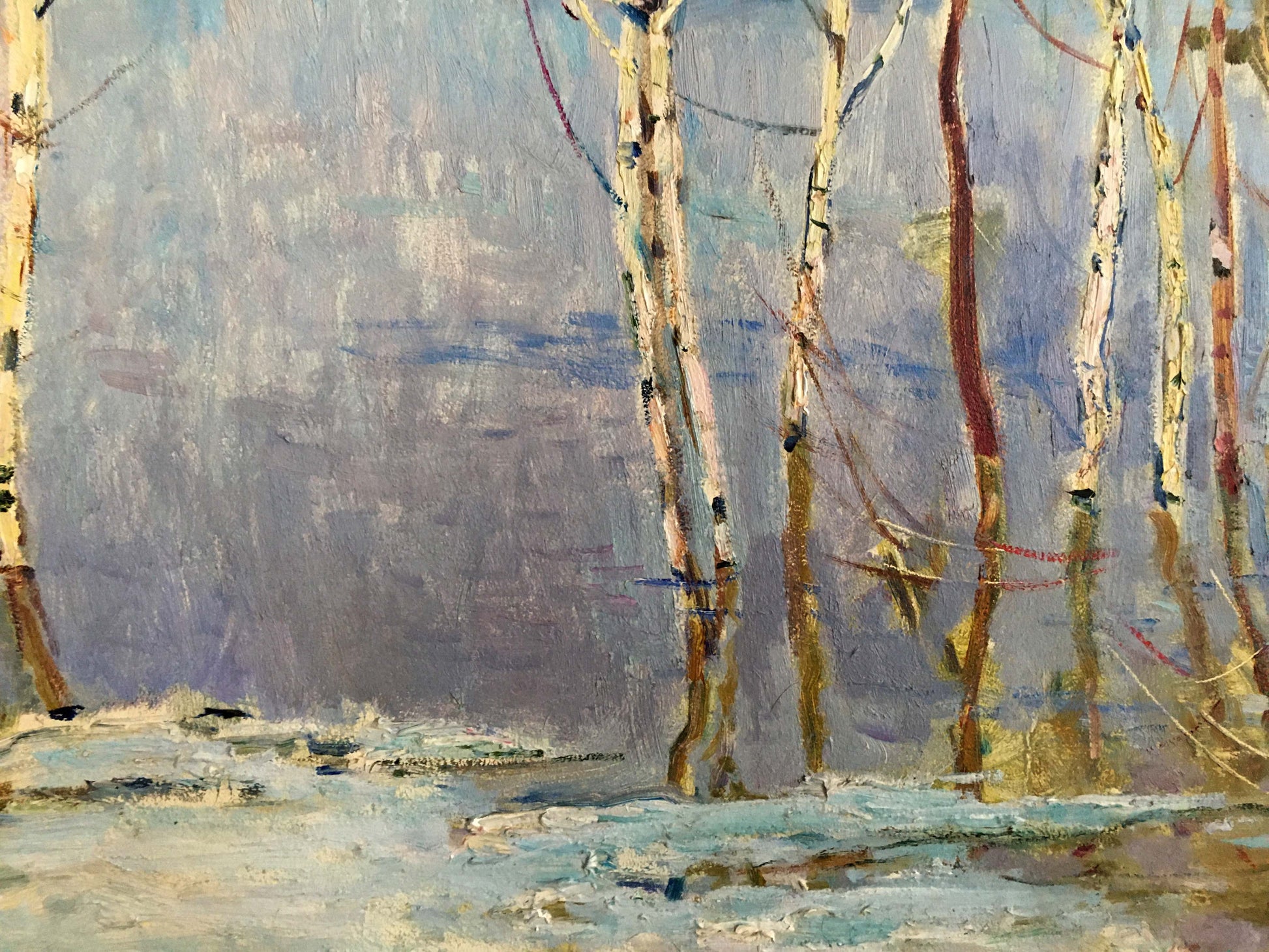 Oil painting of birch trees near shore by Glushchenko Nikolay Petrovich