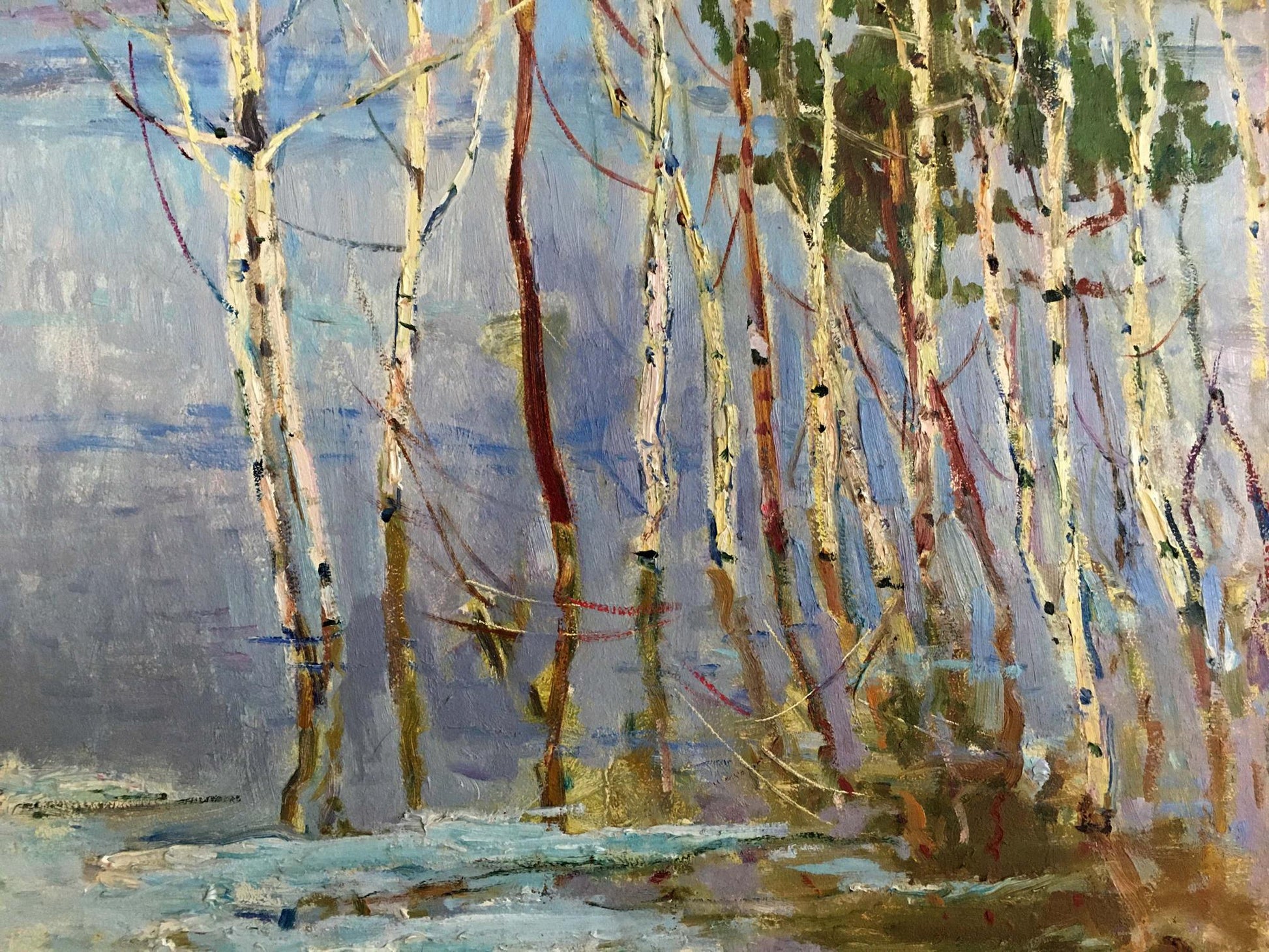 Oil painting of birch trees near shore by Glushchenko Nikolay Petrovich