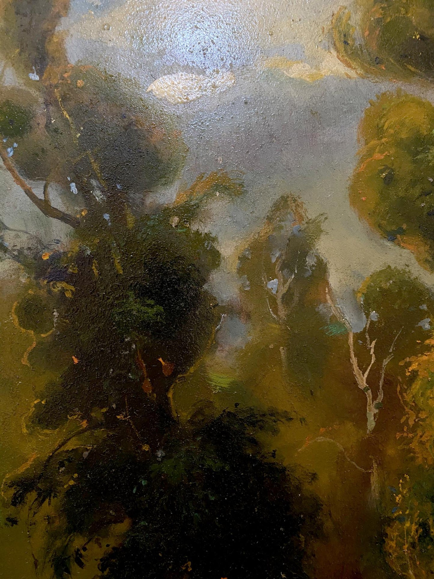 forest landscape