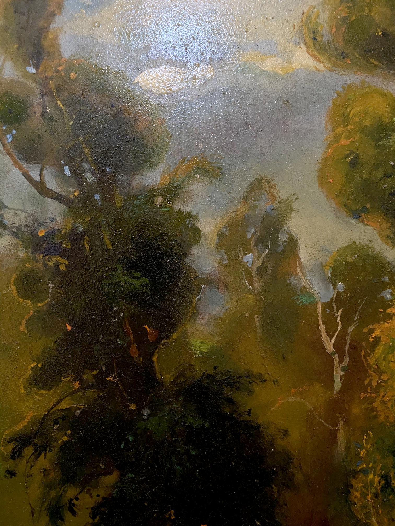 forest landscape