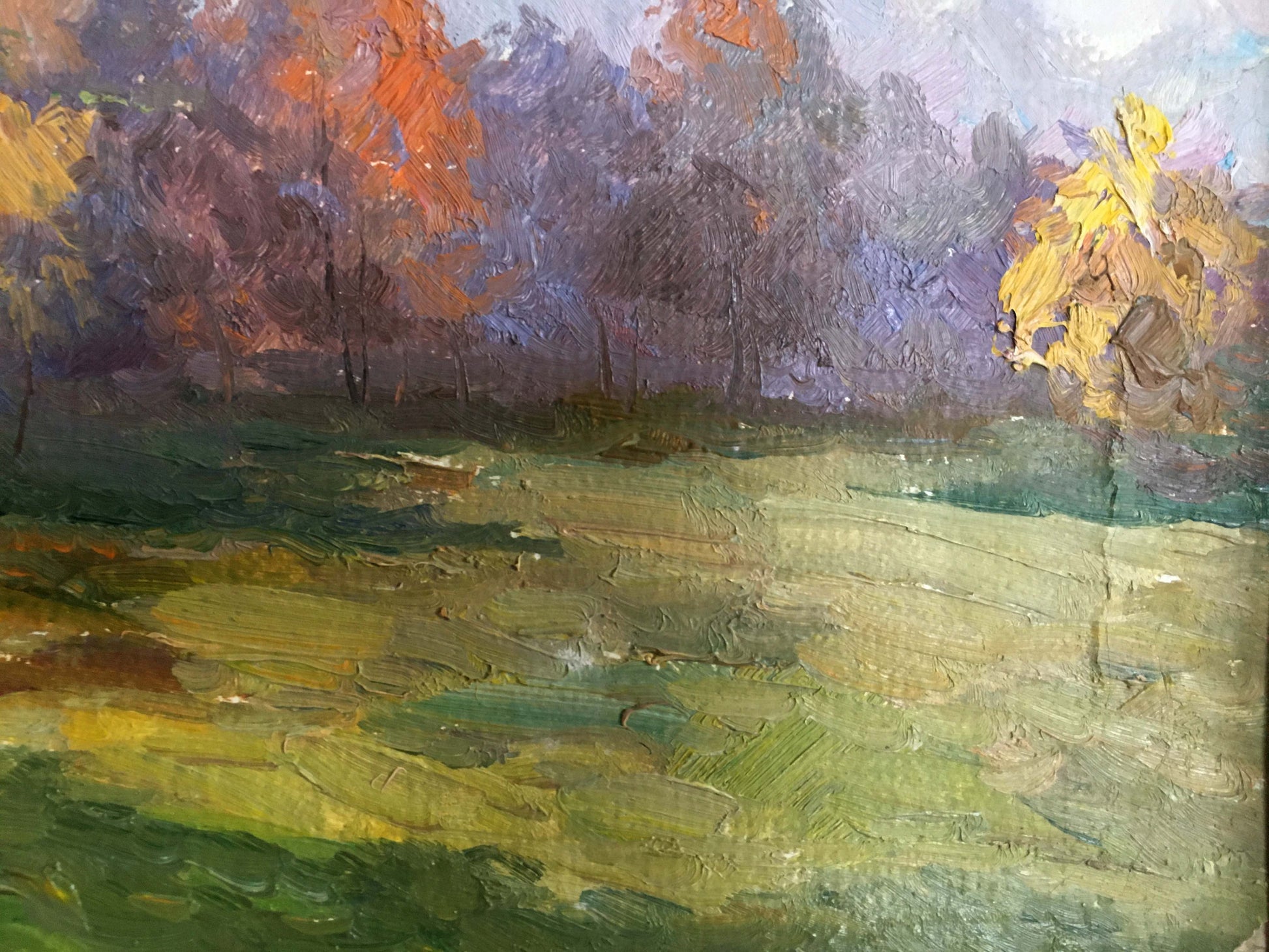 Oil painting Autumn landscape by Priyezzhev Boris Andrianovich