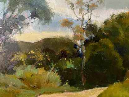 forest landscape