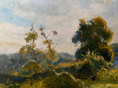 oil nature