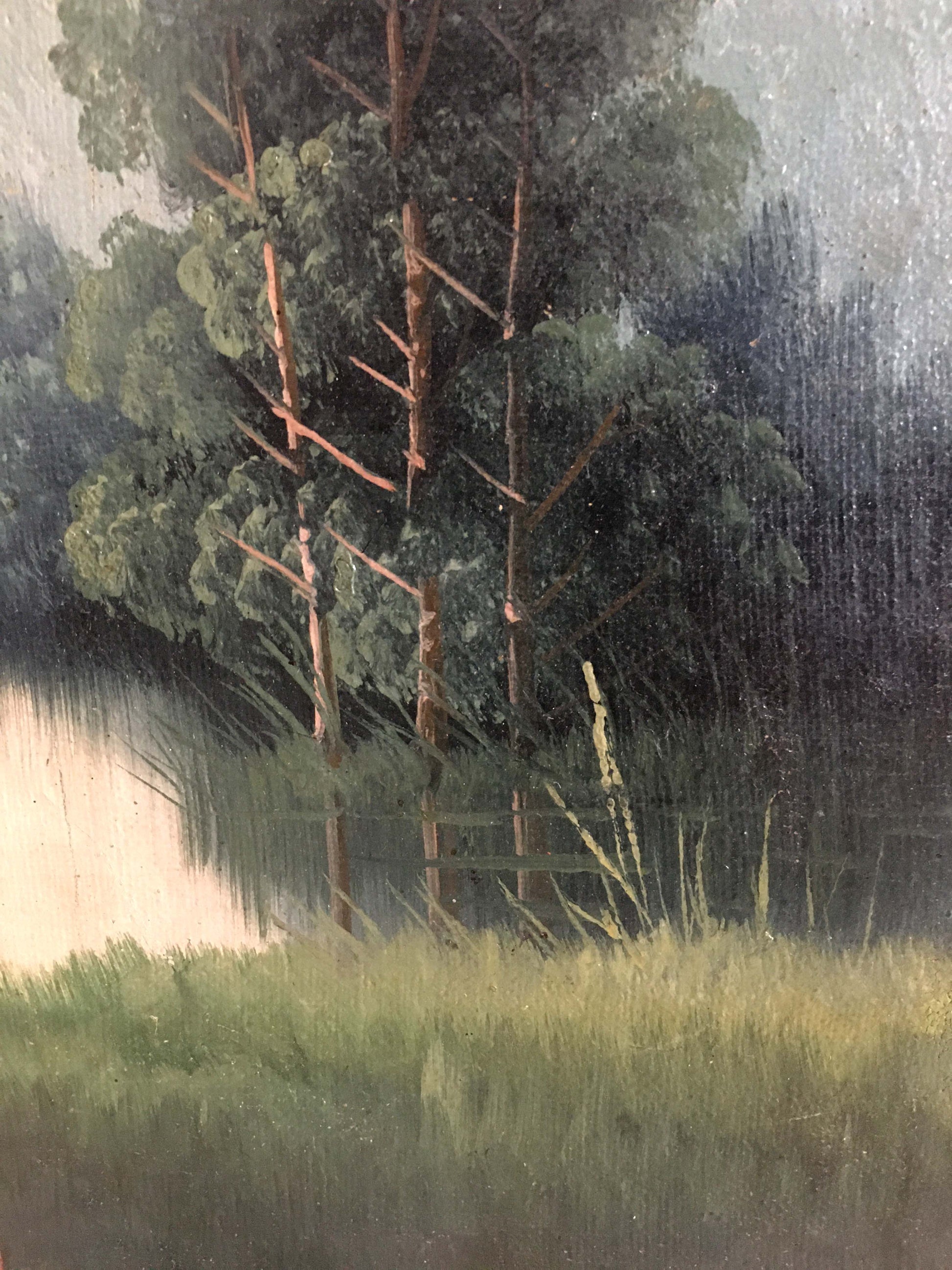 Two oil painting natural landscape: textured tall dark green trees on muted sky