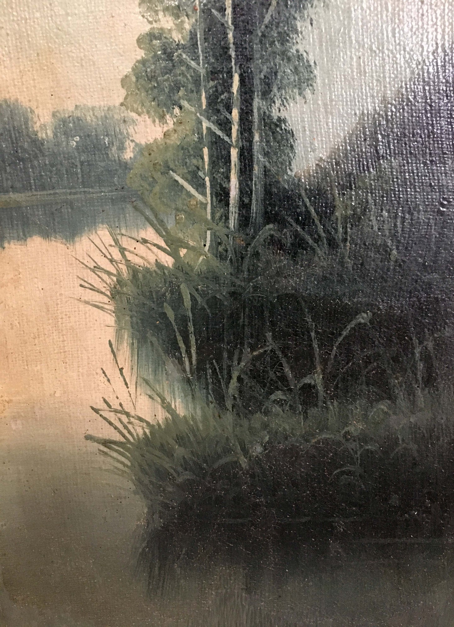 Two oil painting natural landscape: textured misty lakeshore with tall trees and reeds
