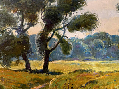summer landscape