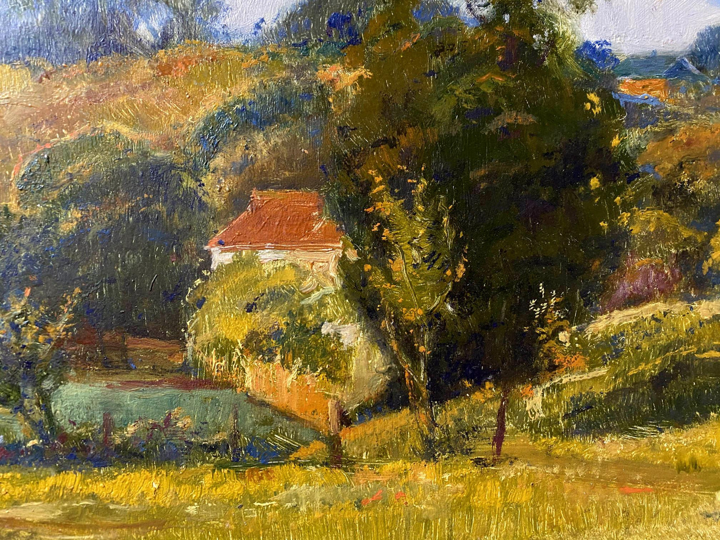 forest landscape