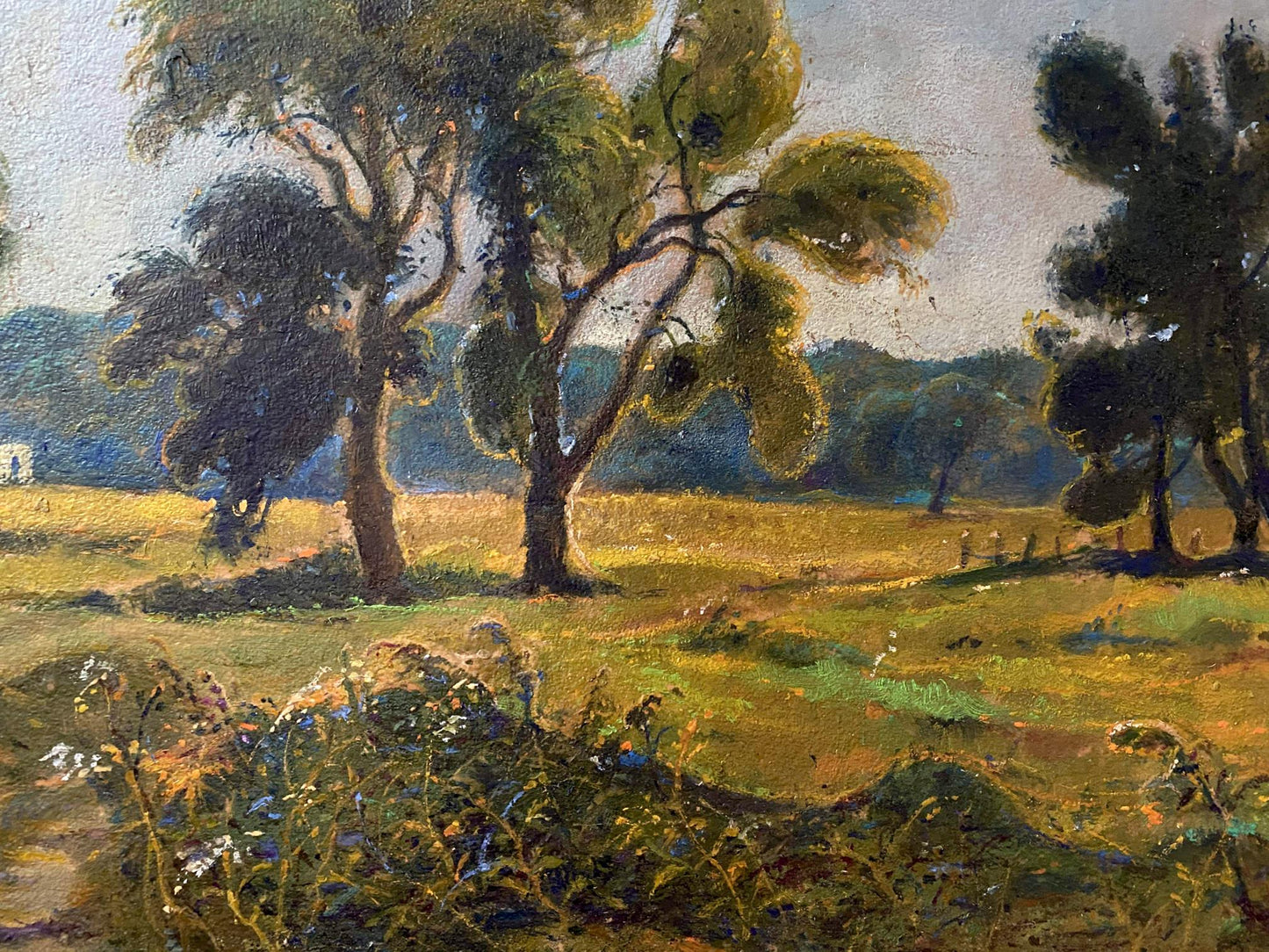 forest landscape art