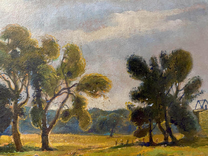 forest landscape