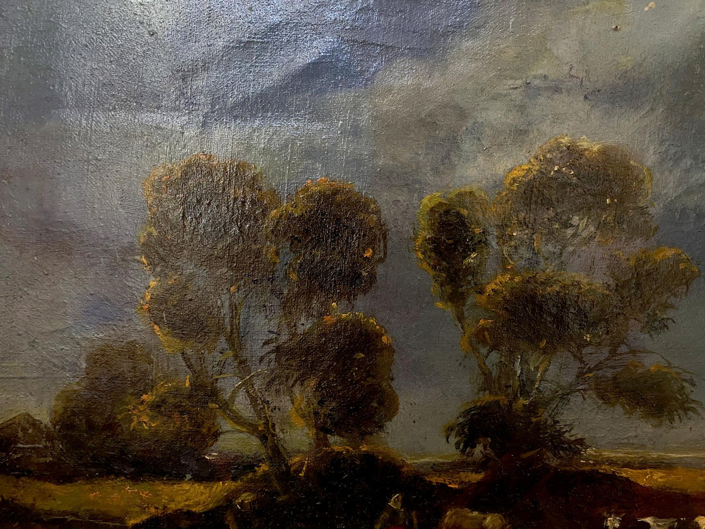 oil nature