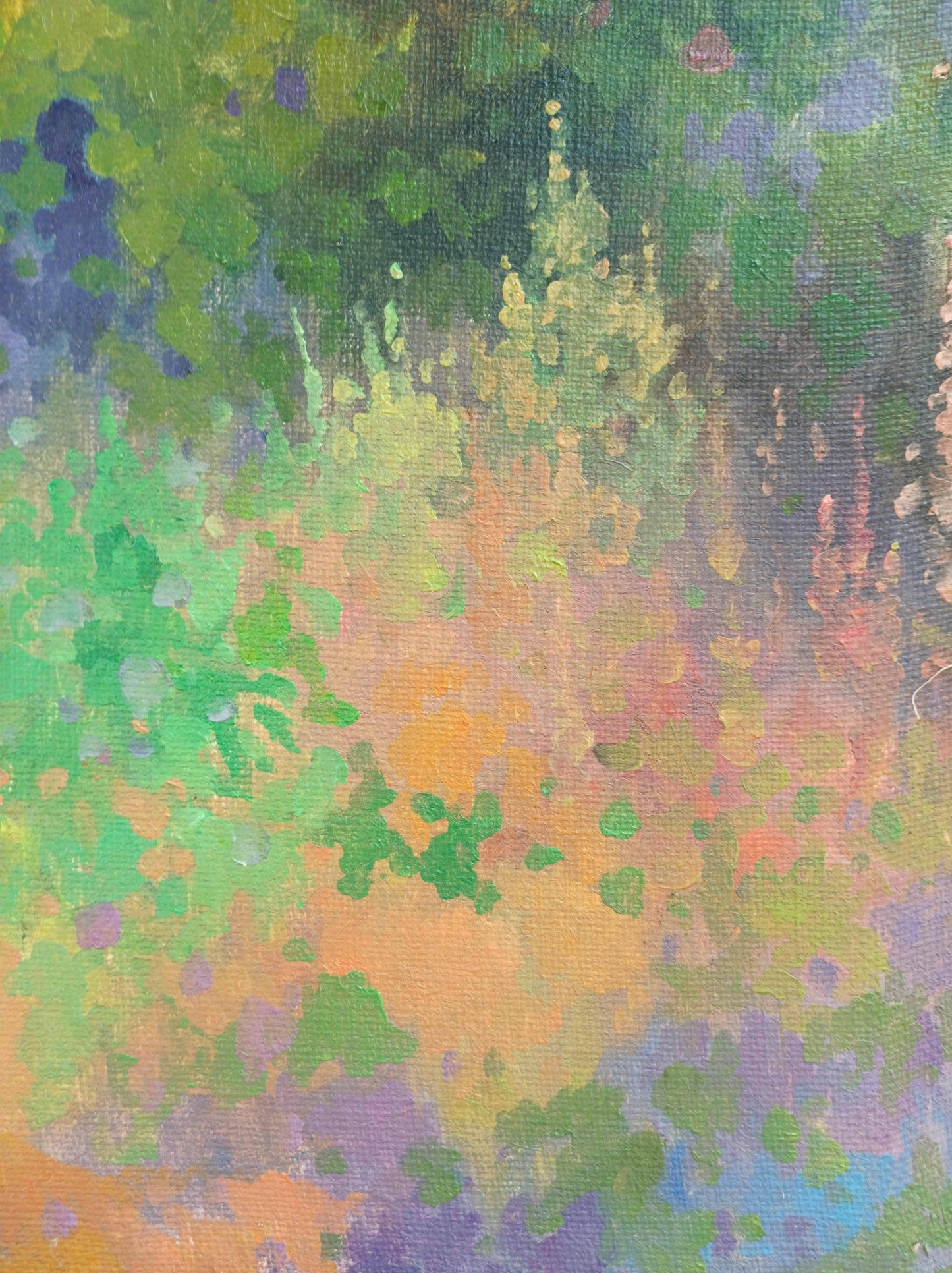 Summer Landscape 