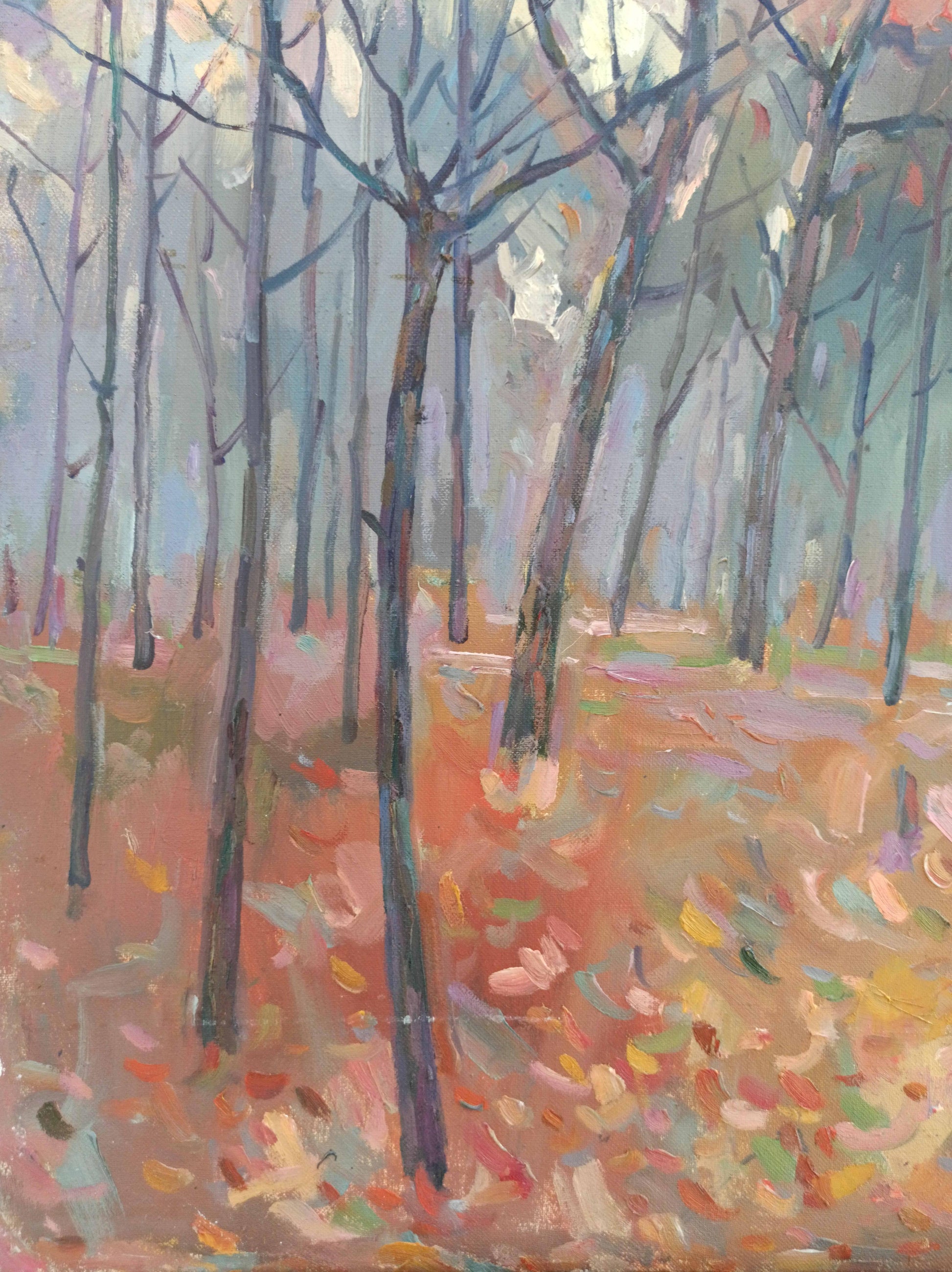 Nature Landscape  Forest landscape
