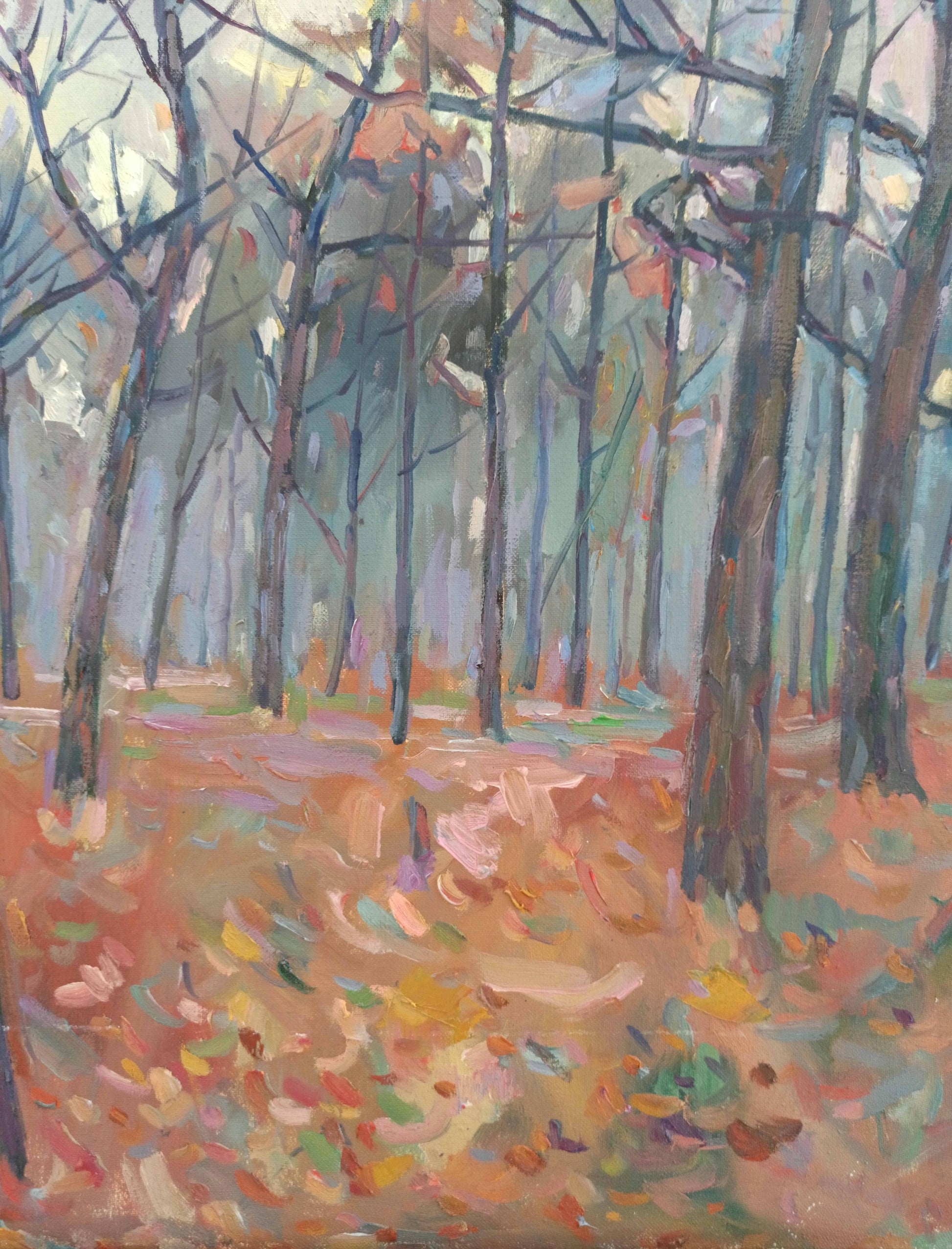 Nature Landscape 