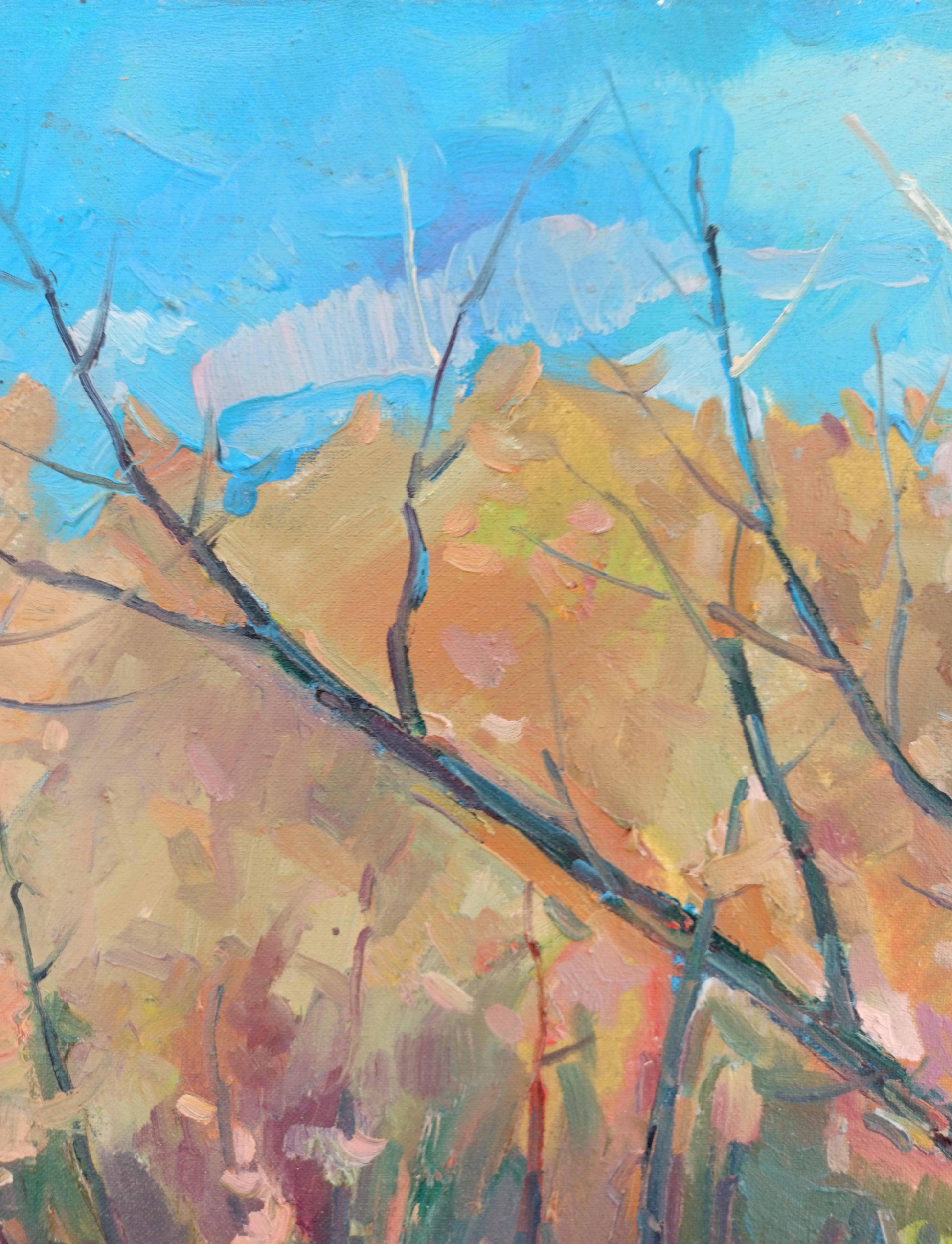 Oil Painting Nature Landscape 