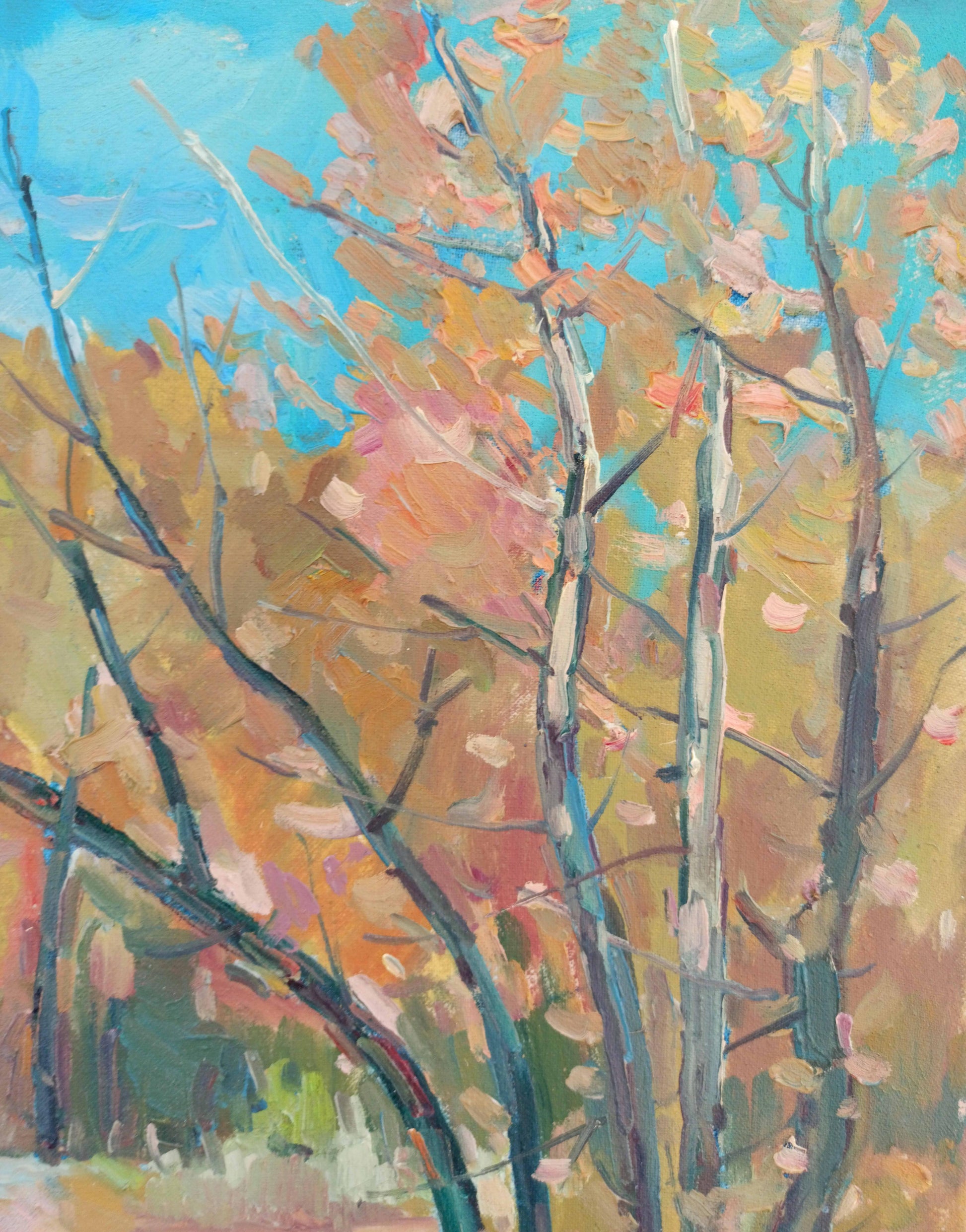 Nature Landscape 