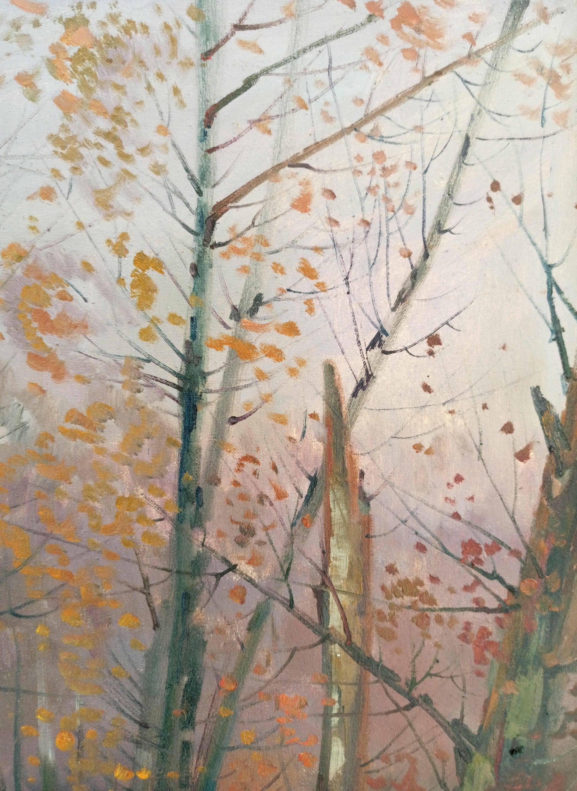 Oil Painting Nature Landscape 