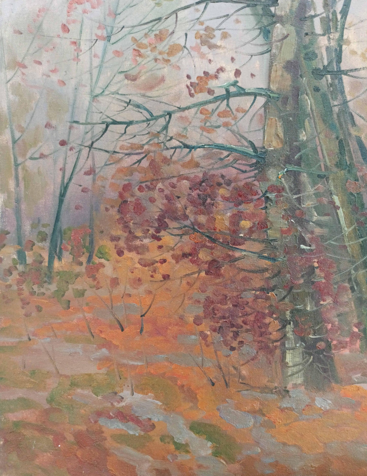 Landscape 