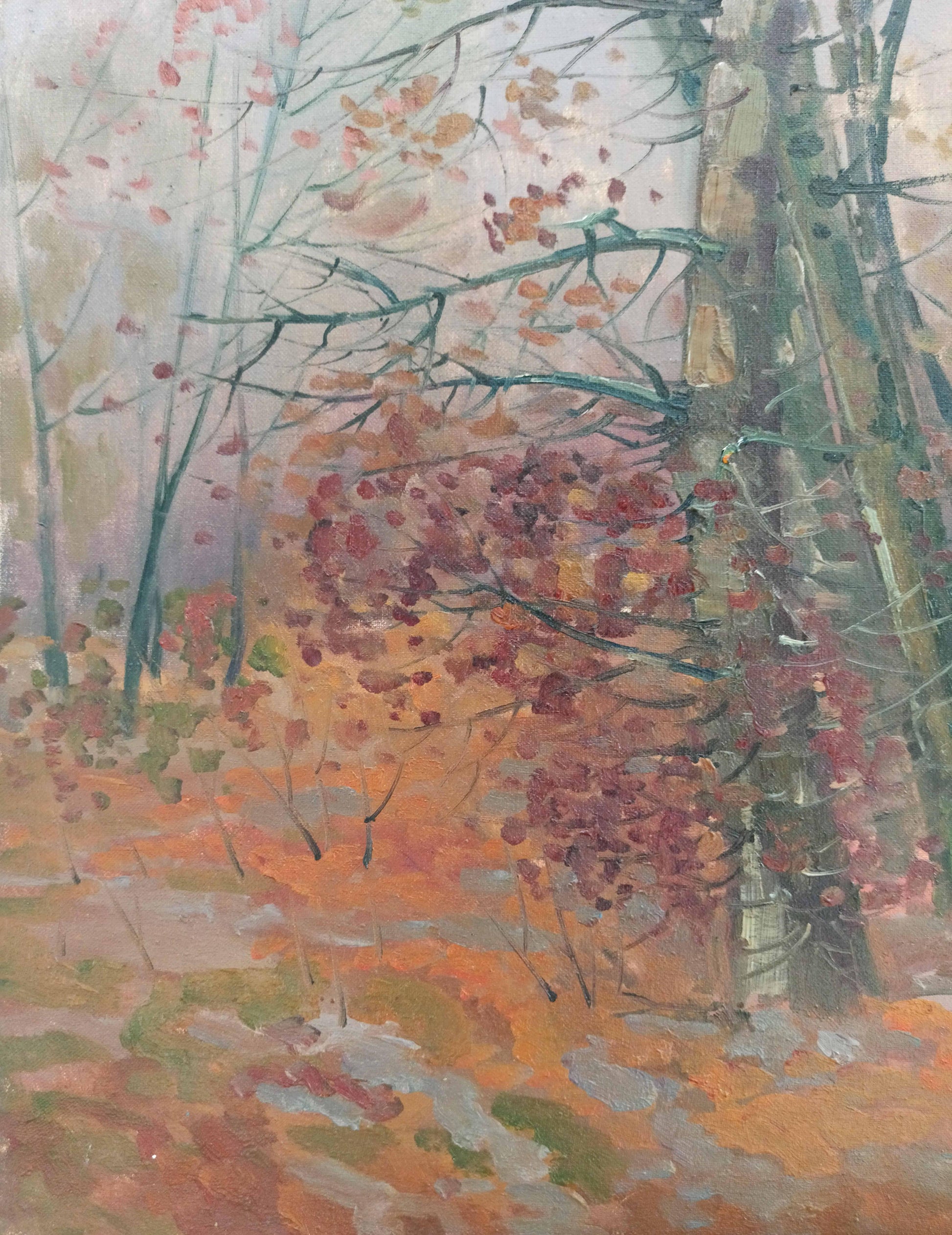 Landscape 