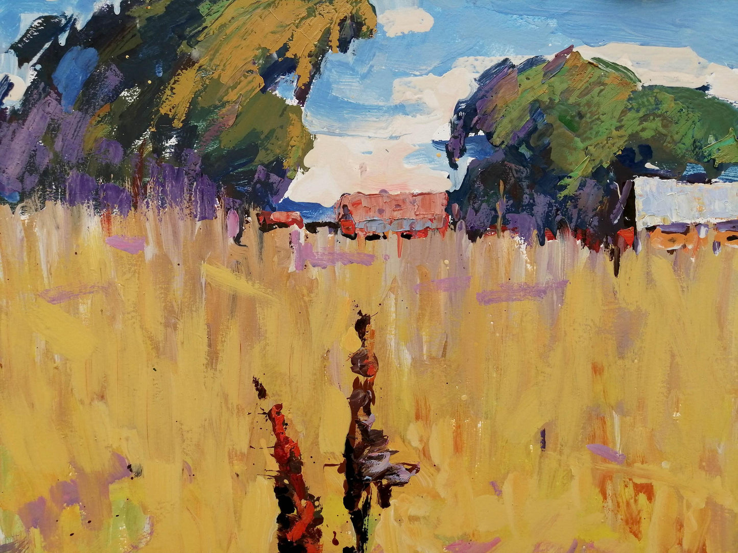 Rural landscape