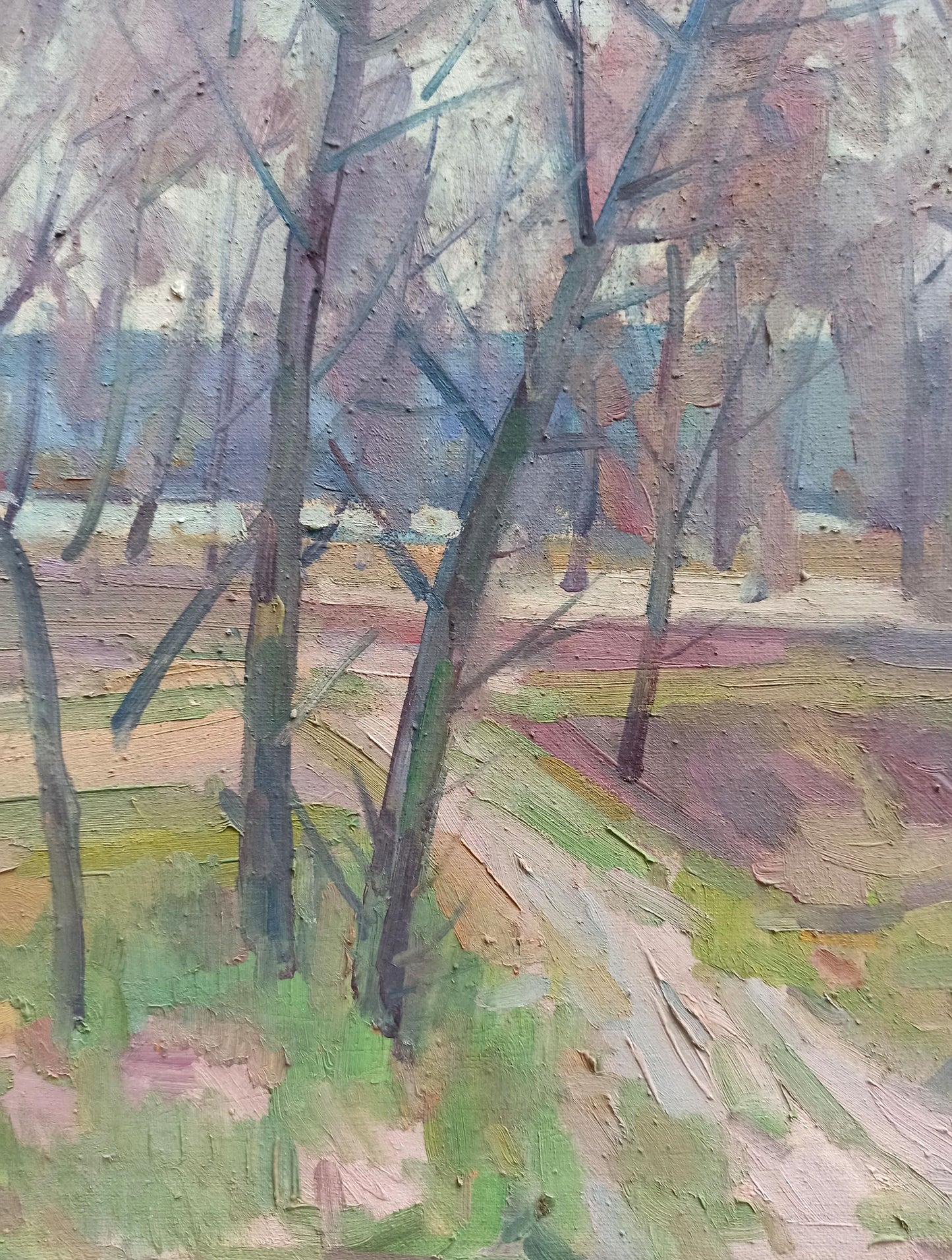 Nature Landscape 