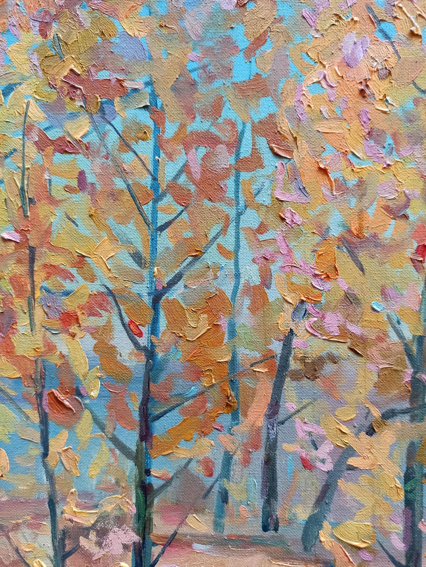Nature Landscape 