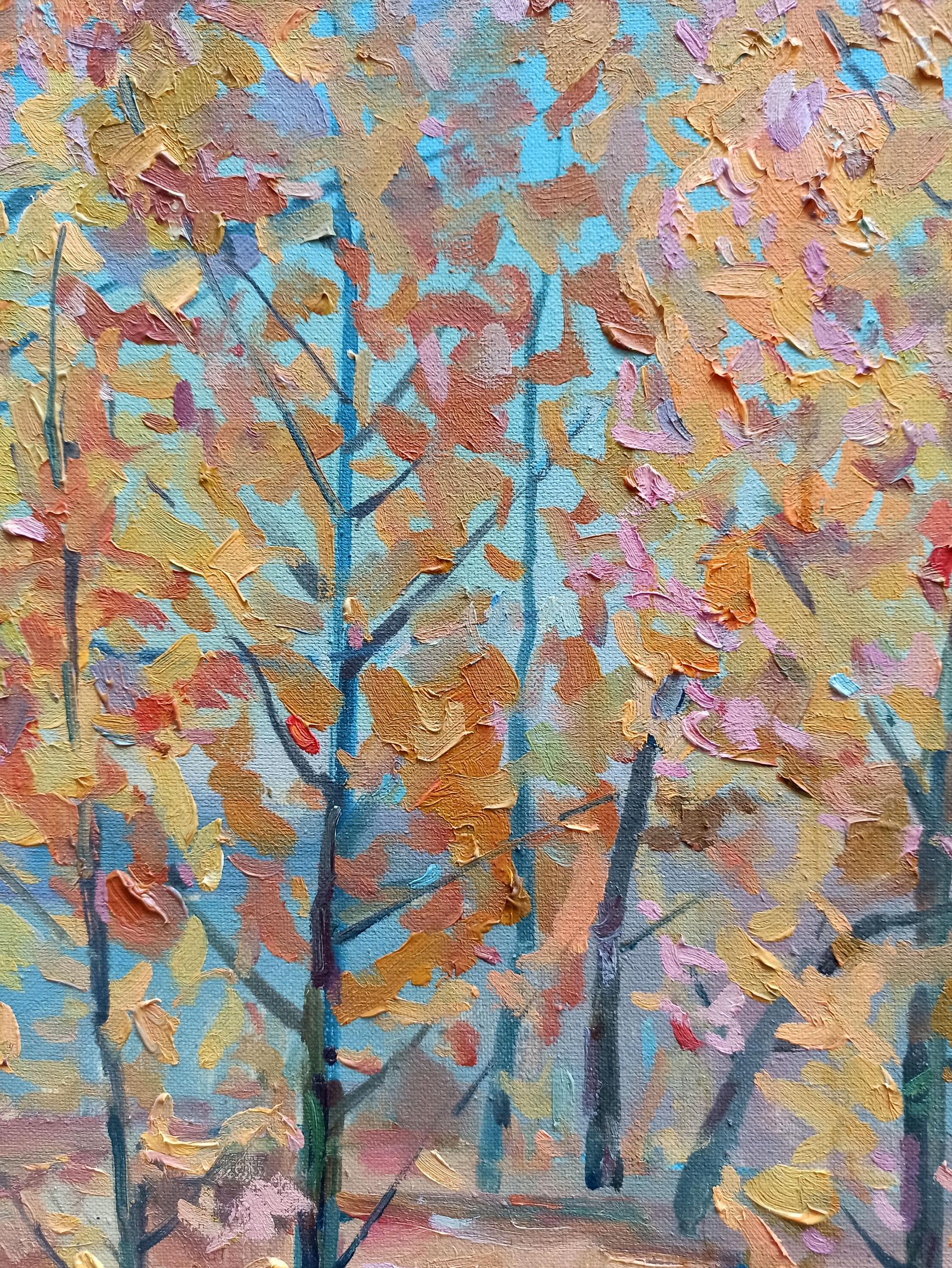 Nature Landscape 