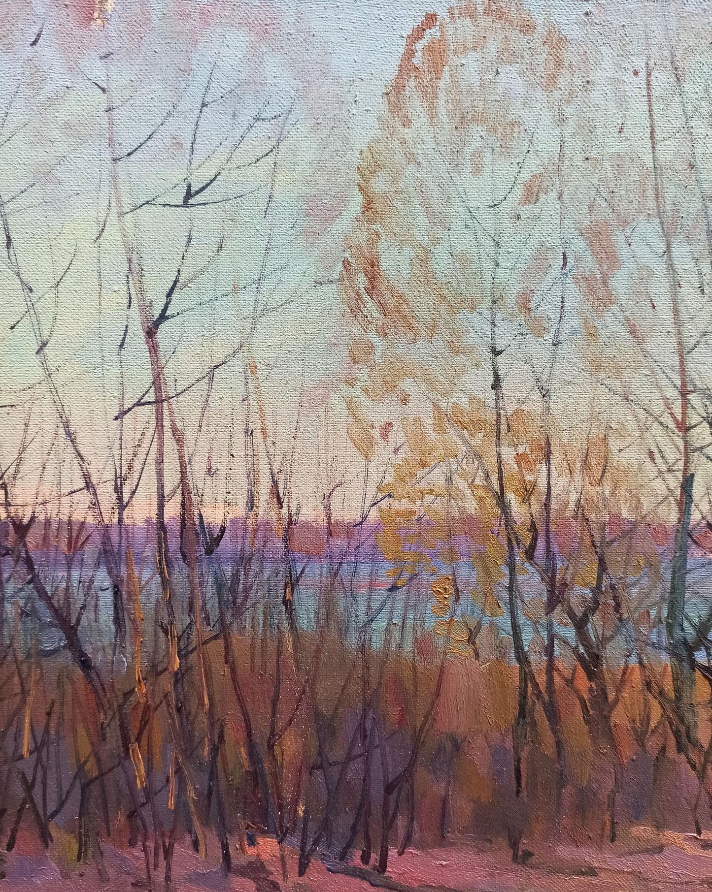 Nature Landscape 