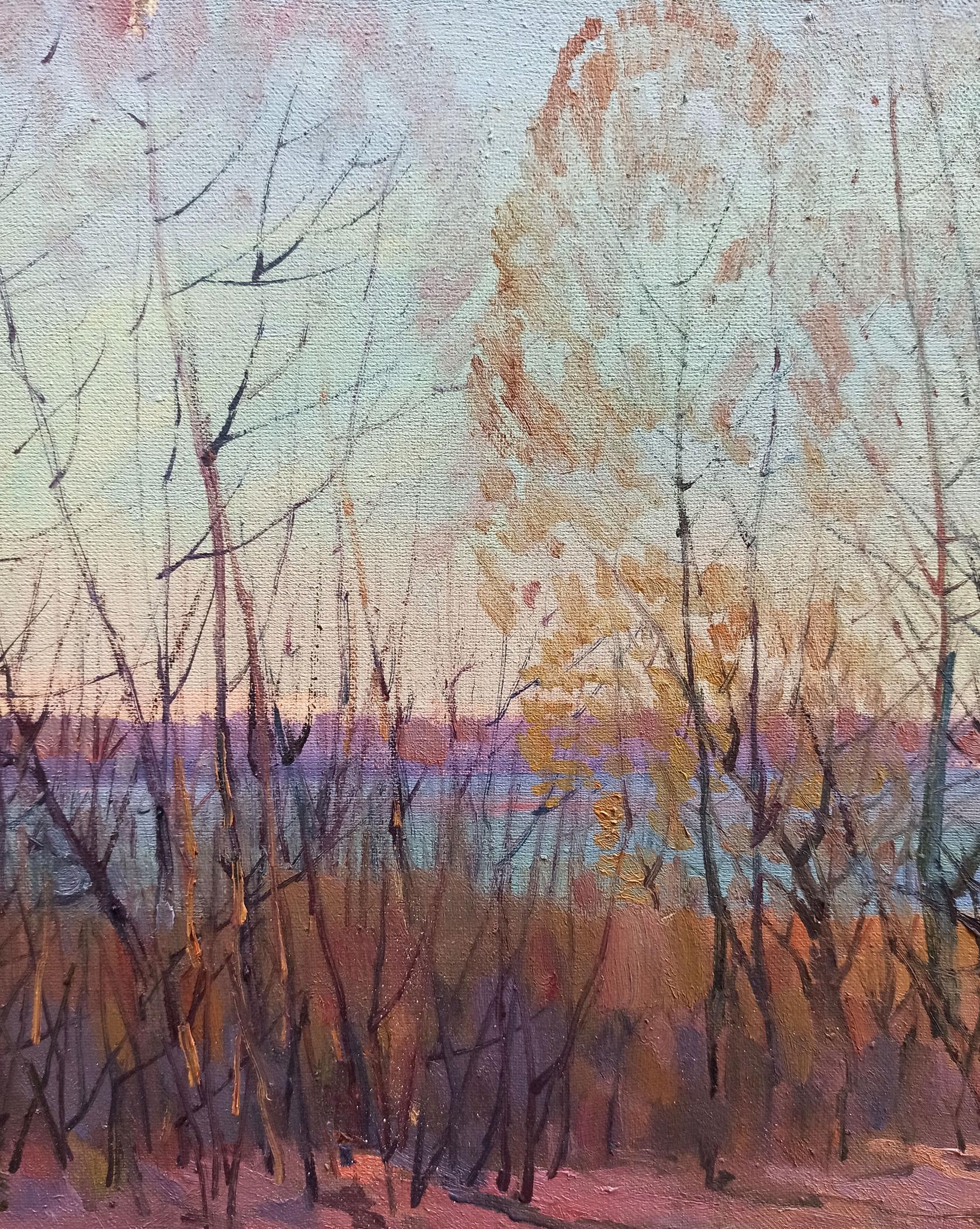Nature Landscape 