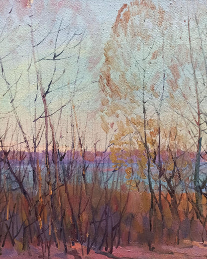 Nature Landscape 