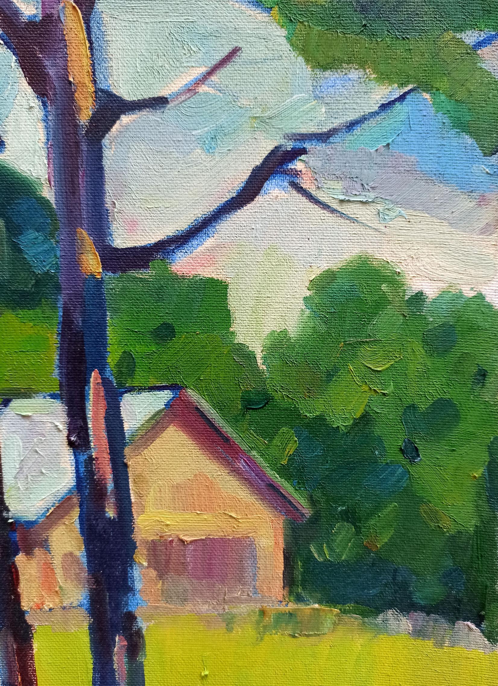 Rural landscape