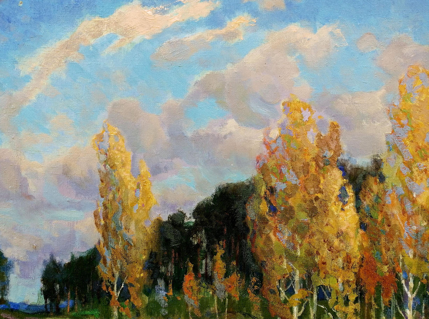 Autumnal birch trees oil painting by Zhabinsky Leonid Andreevich