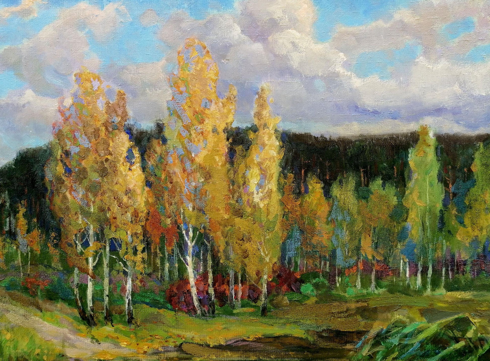 Oil painting by Zhabinsky Leonid Andreevich: birch forest with golden foliage