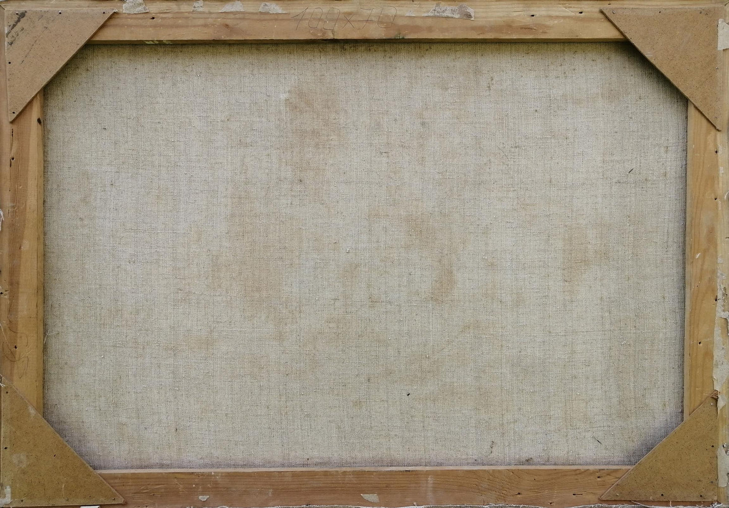 Oil painting Natural beauty by Zhabinsky Leonid Andreevich on beige linen canvas in wooden frame