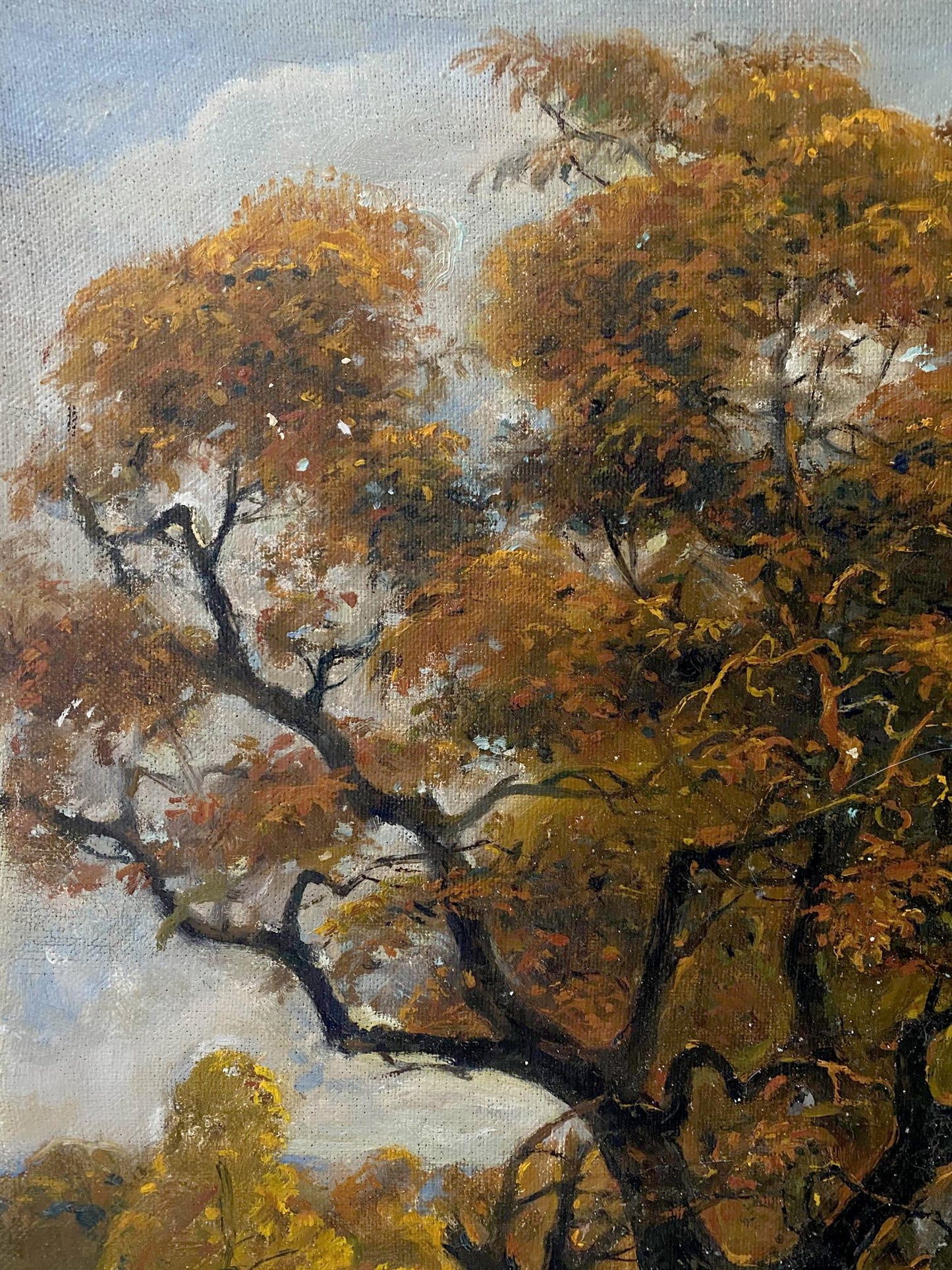 autumn landscape