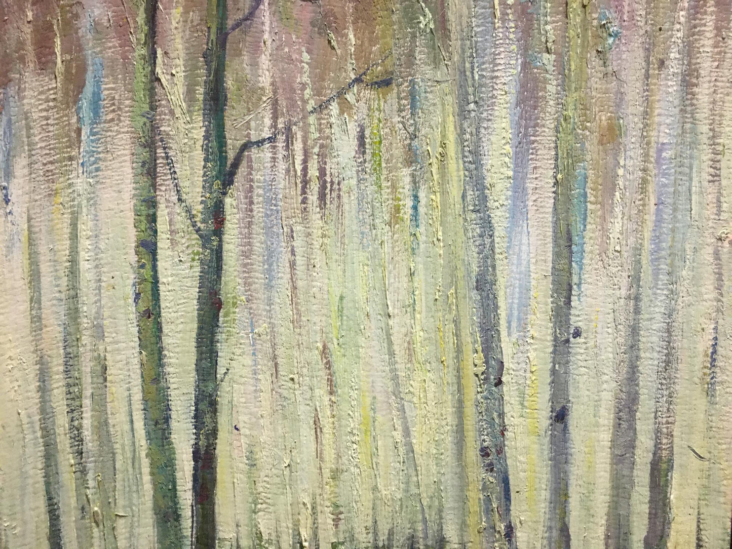Oil painting Birch Grove by Kucherov Alexander Alexandrovich