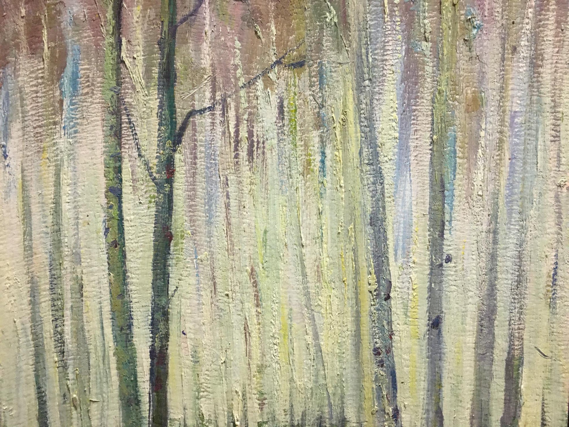 Oil painting Birch Grove by Kucherov Alexander Alexandrovich