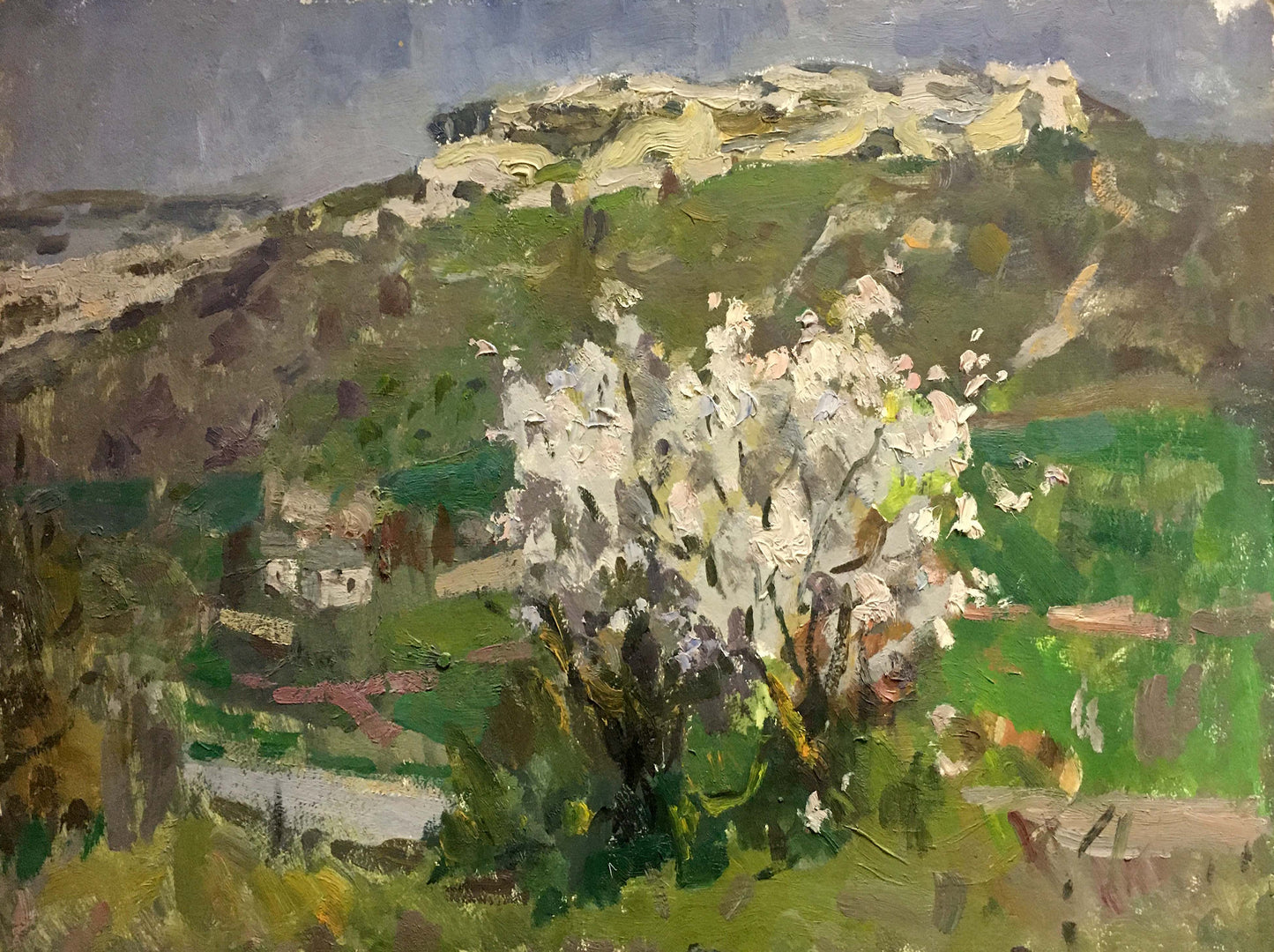 Oil painting by Golub Stepan Filippovich: blooming white tree on green hills