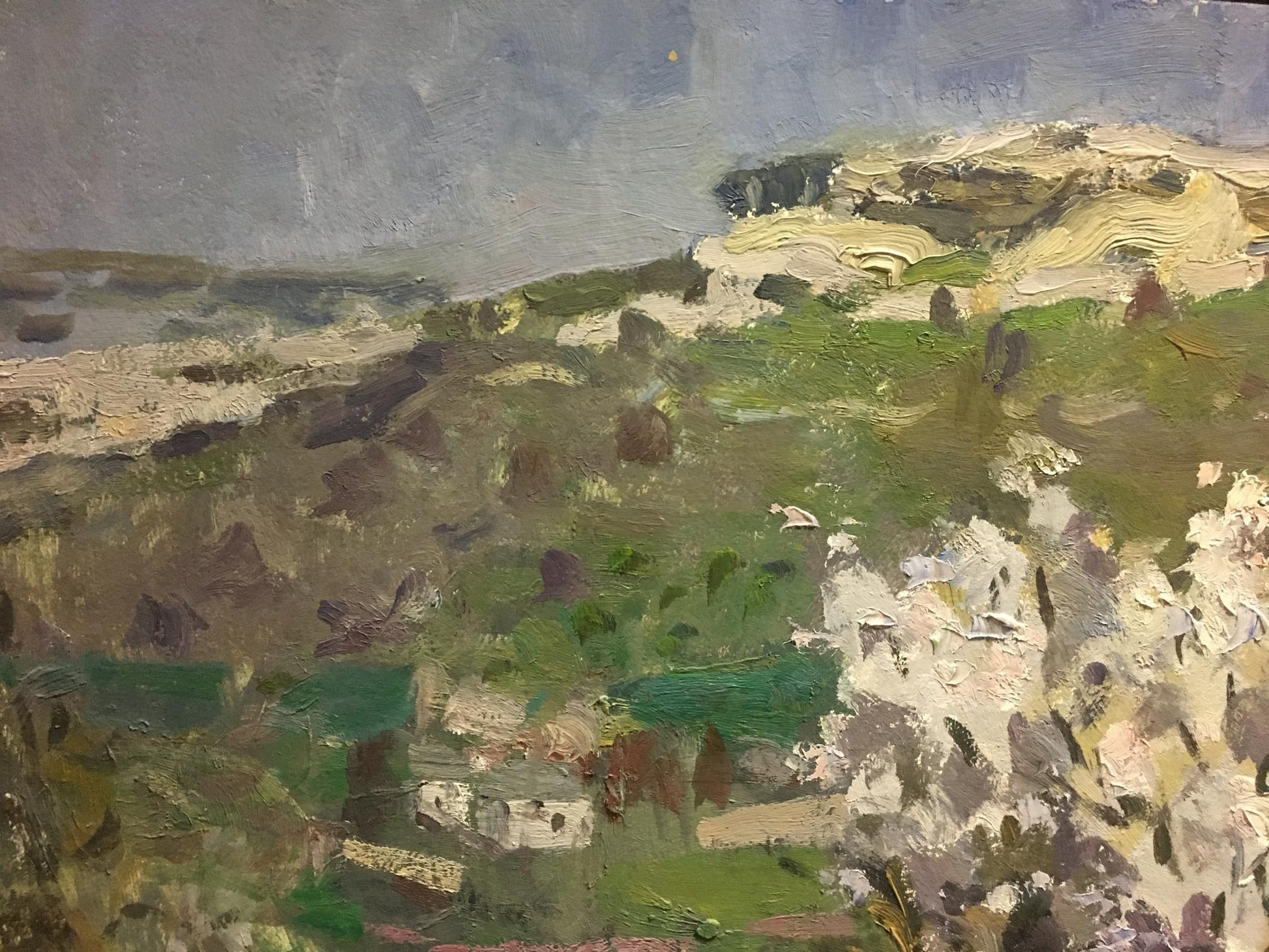 Oil painting by Golub Stepan Filippovich: green hillside with blossoms