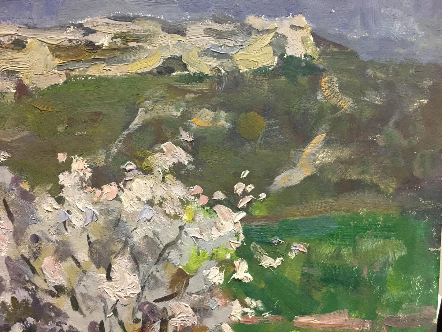 Oil painting by Golub Stepan Filippovich: blooming tree on green hills, cliffs
