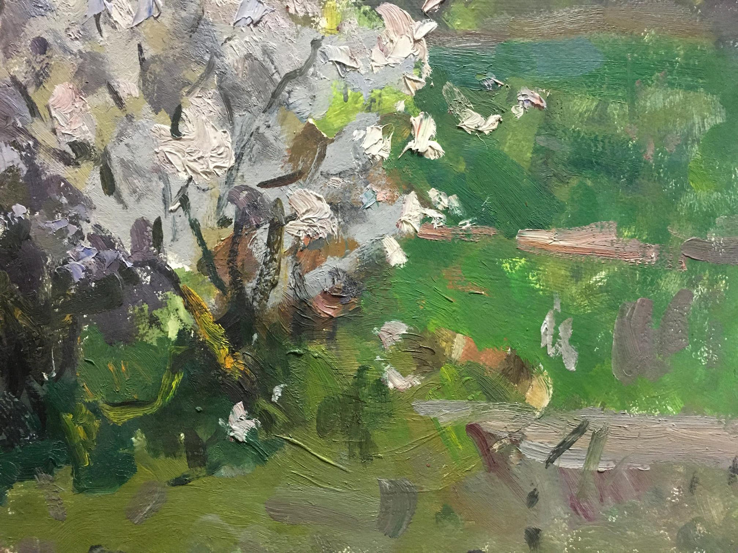 Oil painting of blooming tree by Golub Stepan Filippovich