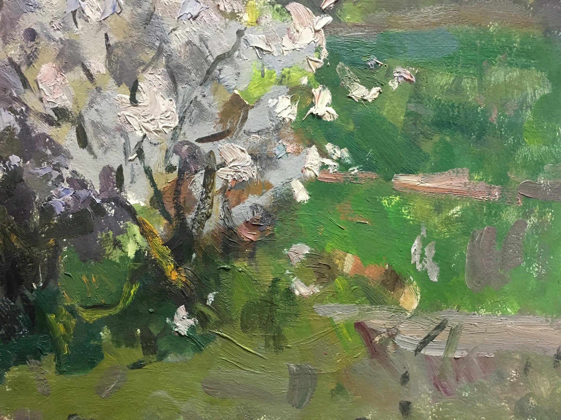 Oil painting of blooming tree by Golub Stepan Filippovich